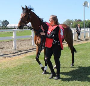 Image post by @NZHorseAmbulanceTrust on Facebook