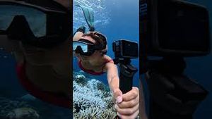 Video post by @gopro on YouTube