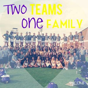 Image post by @lsutigergirls on Instagram