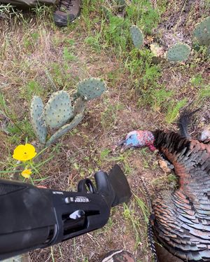 Image post by @meateater on Instagram