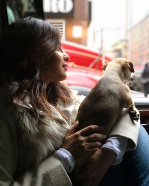 Image post by @priyankachopra on Instagram
