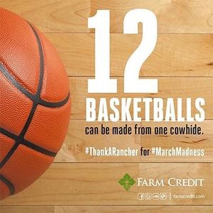 Image post by @farmcredit on Instagram