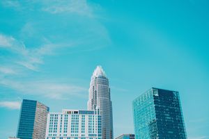 Image post by @thebronzeowl on Instagram