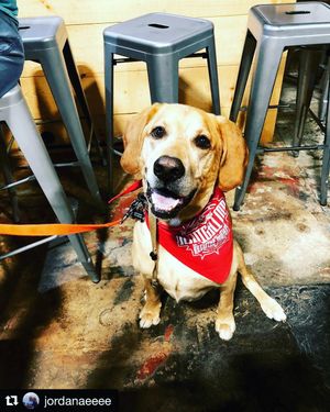 Image post by @navigationbrewingco on Instagram