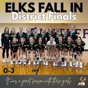 Image post by @ladyelksvb on Instagram
