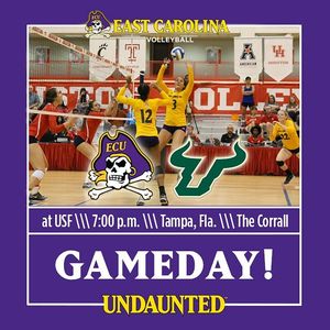 Image post by @ecuvb on Instagram