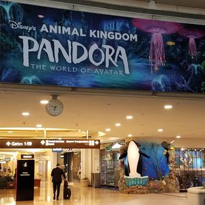 Image post by @thedisneyblog on Instagram