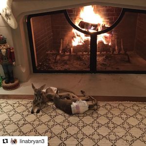Image post by @lukebryan on Instagram