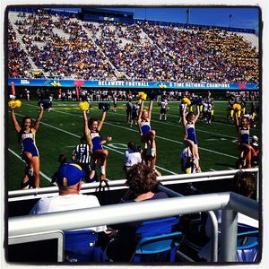 Image post by @udbluehens on Instagram