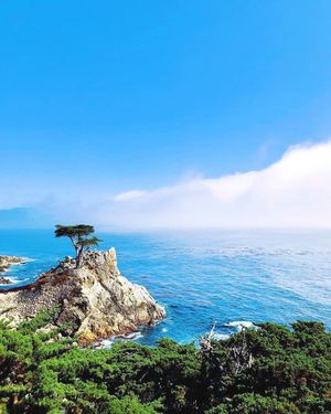 Image post by @pebblebeachresorts on Instagram