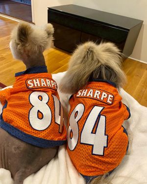 Image post by @shannonsharpe84 on Instagram