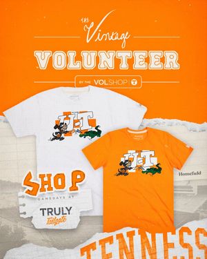 Image post by @vol_gear on Instagram