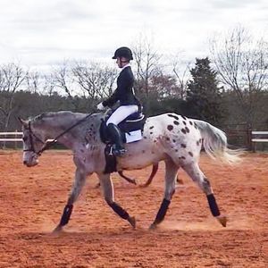 Image post by @appalachianequestrian on Instagram