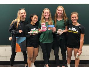 Image post by @usfdonsvb on Instagram