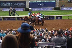 Image post by @breederscup on Instagram