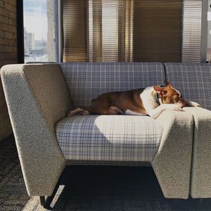 Image post by @pallastextiles on Instagram