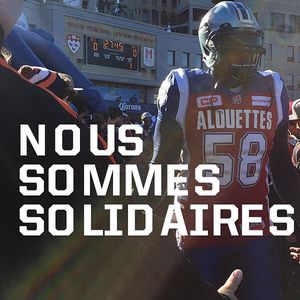 Image post by @mtlalouettes on Instagram