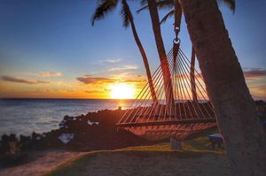 Image post by @hiltonhotels on Instagram