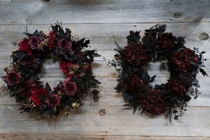 Image post by @rogersgardens on Instagram