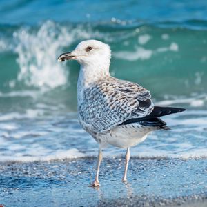 Image post by @nationalparktrust on Instagram