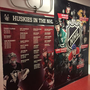 Image post by @gonumhockey on Instagram