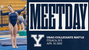 Image post by @yalegymnastics on Instagram