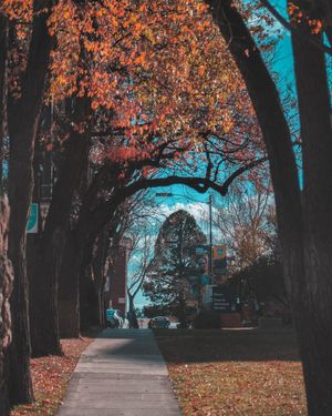 Image post by @nauflagstaff on Instagram