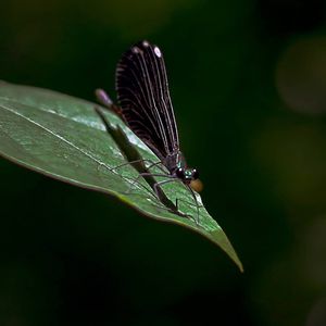 Image post by @atebitnate on Instagram