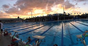 Image post by @gobearcatsswim on Instagram