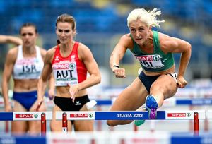 Image post by @TeamIreland on Twitter