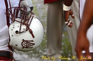 Image post by @aamufb on Instagram