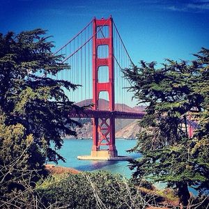Image post by @onlyinsf on Instagram