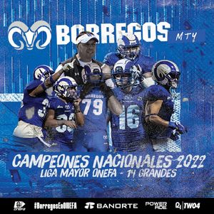 Image post by @borregostec on Instagram