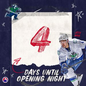 Image post by @theahl on Instagram