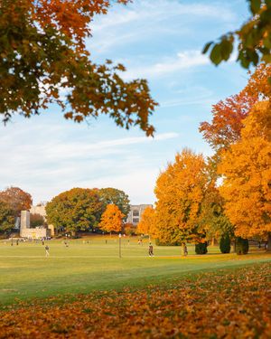 Image post by @virginia.tech on Instagram