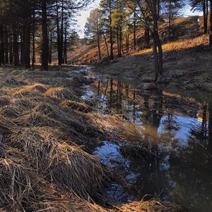 Image post by @nauflagstaff on Instagram