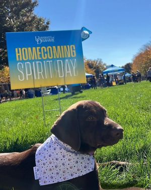 Image post by @udelaware on Instagram