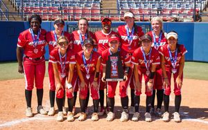 Image post by @USASoftball on Twitter