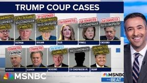 Video post by @msnbc on YouTube
