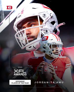 Image post by @XFLDefenders on Twitter