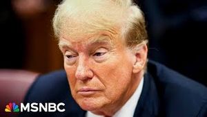 Video post by @msnbc on YouTube