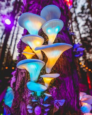 Image post by @electric_forest on Instagram