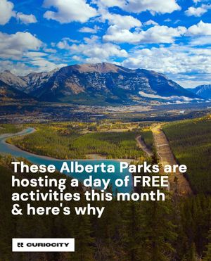 Image post by @curiocitycalgary on Instagram