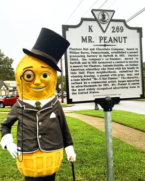 Image post by @mrpeanutofficial on Instagram