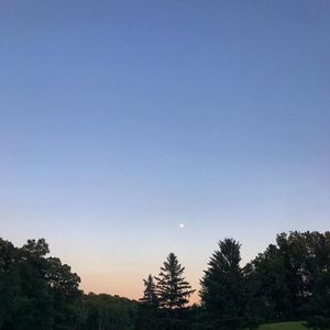 Image post by @lifesadiscoball on Instagram