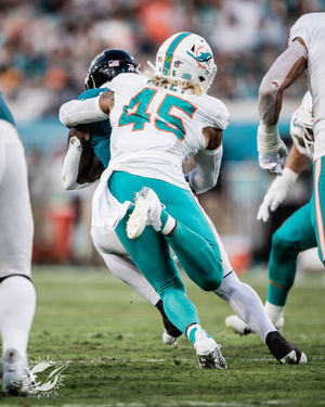 Image post by @dolphins_esp on Instagram