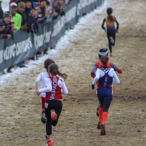 Image post by @bowermantc on Instagram