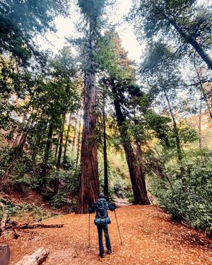 Image post by @storquest on Instagram