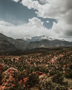 Image post by @nikguiney on Instagram