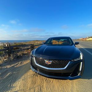 Image post by @pipoderani on Instagram